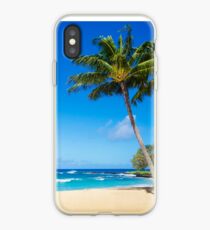 Coconut Palm tree on the beach in Hawaii, Kauai iPhone Case