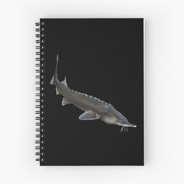 Item preview, Sturgeon baeri 2 designed and sold by InkFish Art.