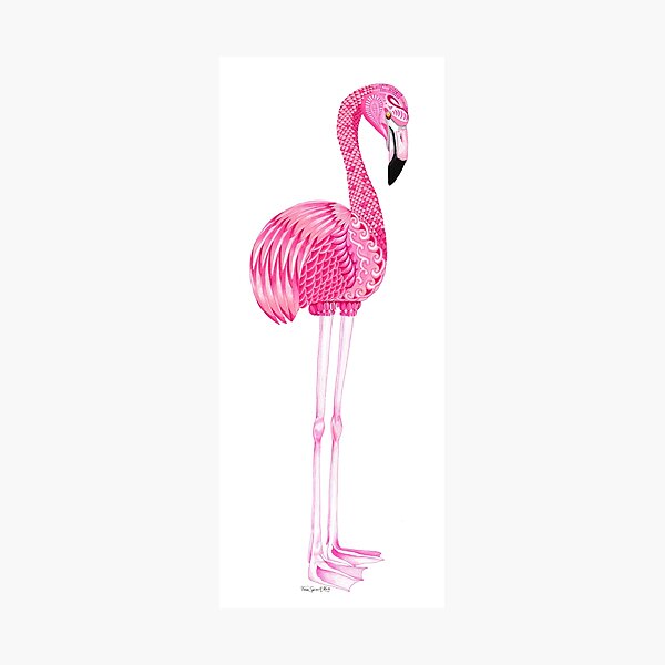 Photographic Print