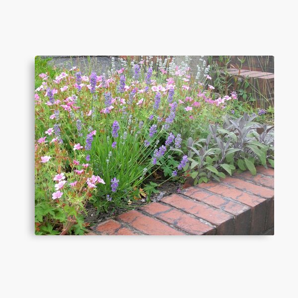 Flowers from a Friend Metal Print