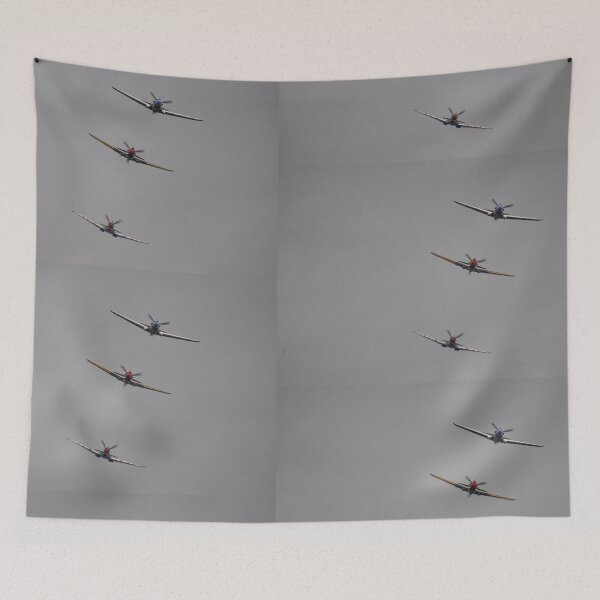 Item preview, 2019 Temora - Fighter Formation designed and sold by muz2142.