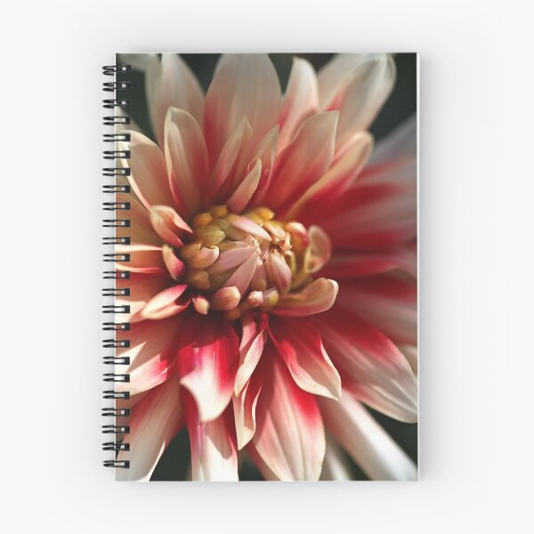 Item preview, Dahlia Warmth designed and sold by Joy Watson - Natural Light Photography .