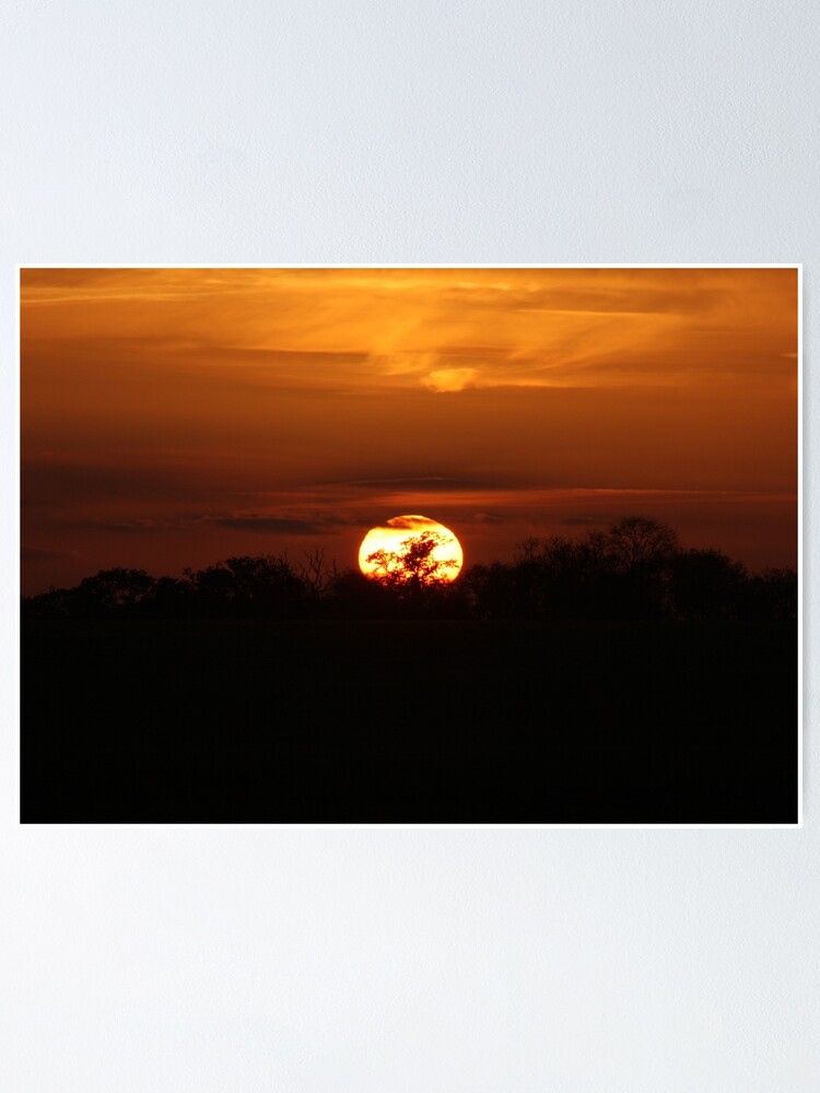 Alternate view of Golden Sunset Poster