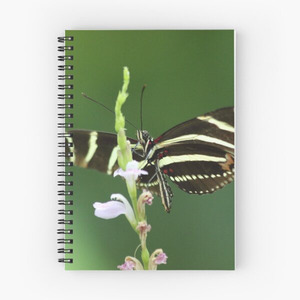 Item preview, So tenderly designed and sold by Olivia Plasencia.