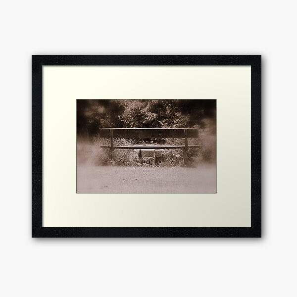 Silent Bench Framed Art Print