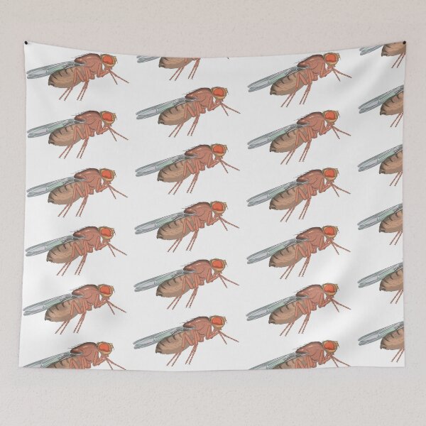 Item preview, Fly designed and sold by Judge-Hatchet.