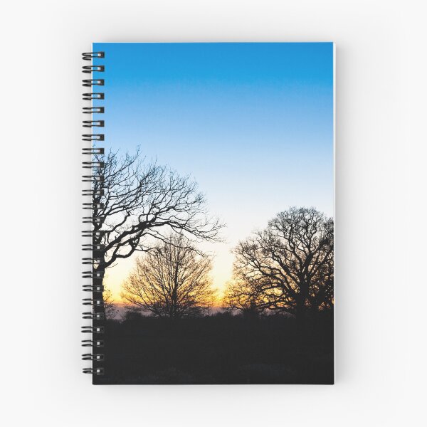 Item preview, Sunset at RHS Gardens, Wisley designed and sold by Graham Prentice.