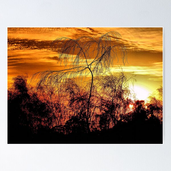 Aperçu de l'œuvre  Australie.
.
Appareil photo Olympus E-520 créée et vendue par Clive.