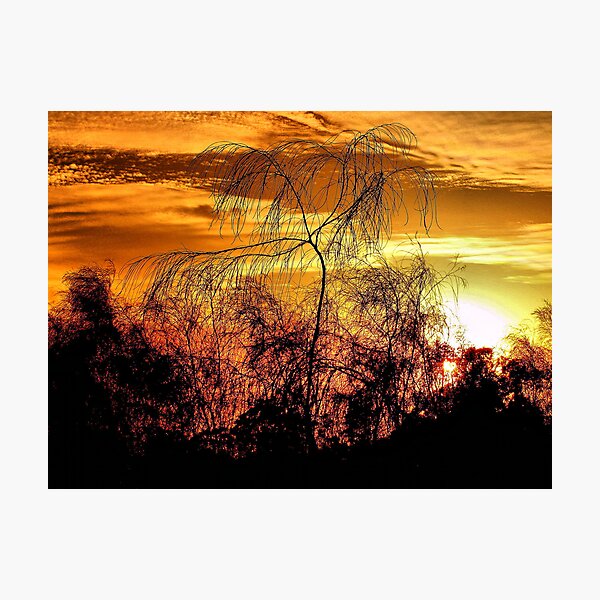 Item preview, Sunrise On The Plains designed and sold by Clive.
