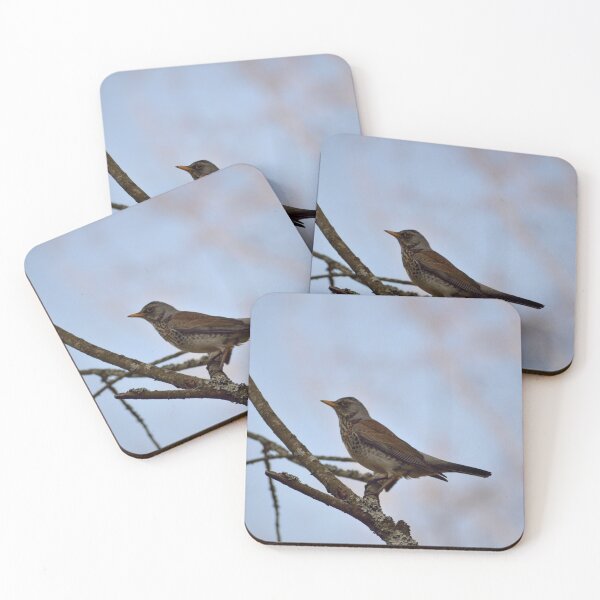 Item preview, Fieldfare on a branch designed and sold by carolmaia.