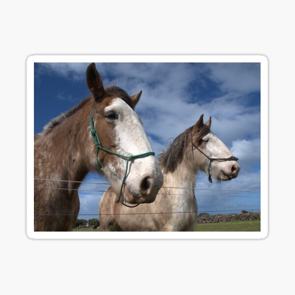 Item preview, Two Horses designed and sold by Ben Loveday.