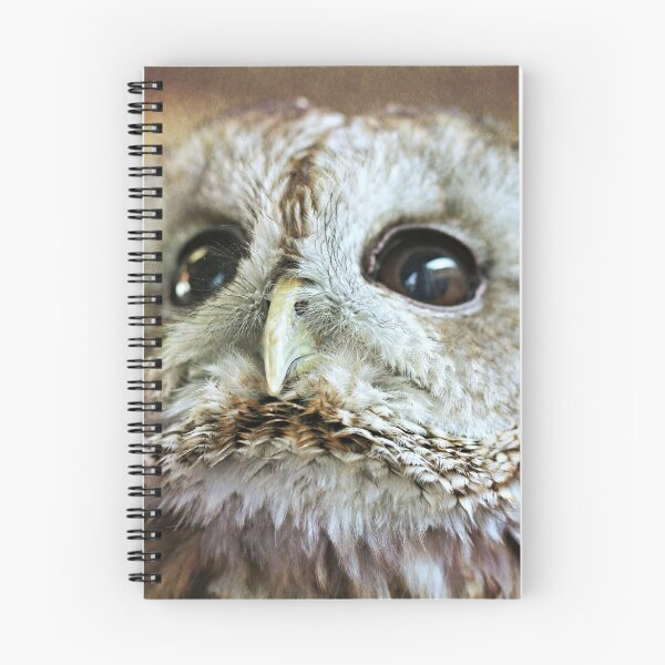 Item preview, Cuddles Looking Up designed and sold by ASTRID EWING.