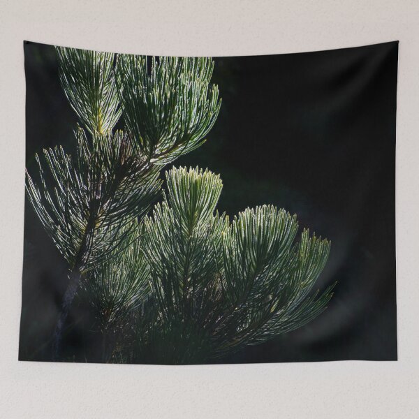 Item preview, Last Light designed and sold by metriognome.