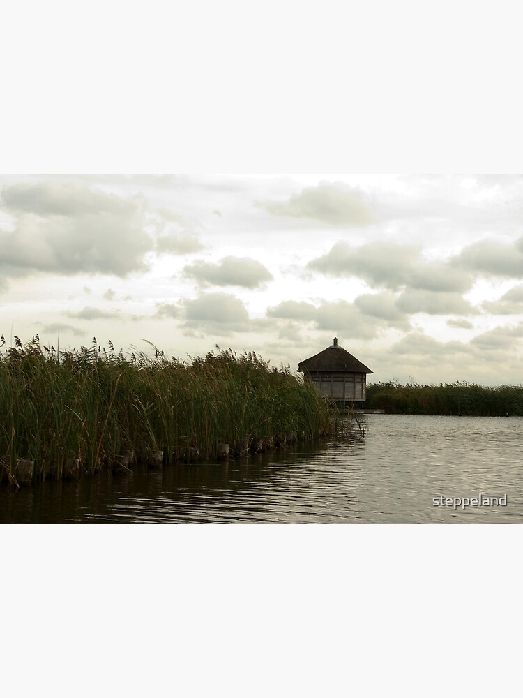 Thumbnail 3 of 3, Art Print, The birds observation hut designed and sold by steppeland.