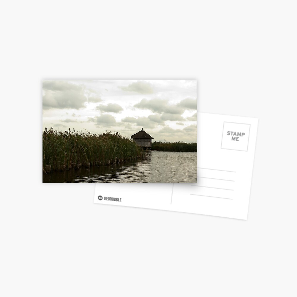 Item preview, Postcard designed and sold by steppeland.