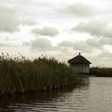 Artwork thumbnail, The birds observation hut by steppeland