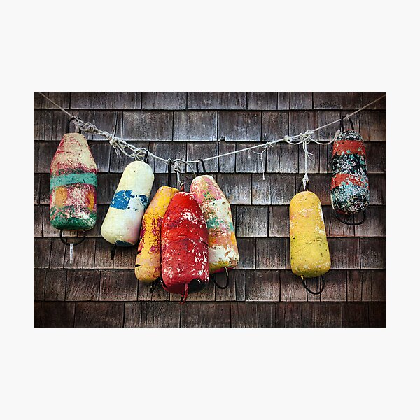All Strung Up Photographic Print