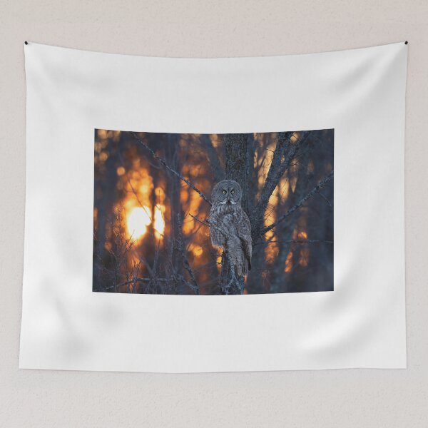 Item preview, Great Grey Owl at Sunset designed and sold by James Cumming.