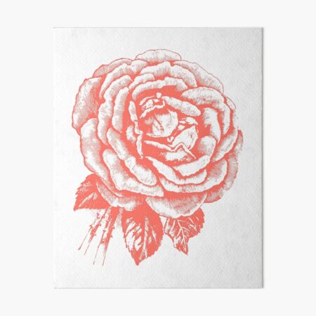 Rose gezeichnet im Vintage-Stil in Farbe "Living Coral" Galeriedruck