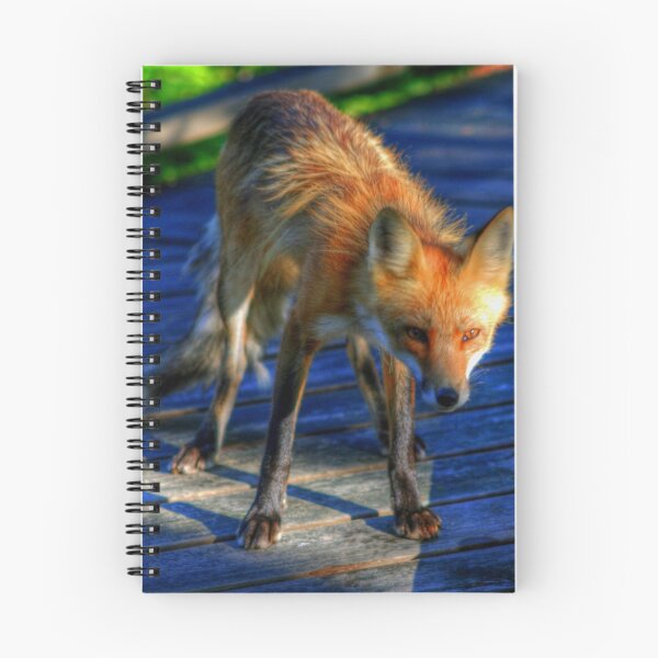 Item preview,  en el Parque Provincial Blue Lake en Ontario designed and sold by Larry Trupp.