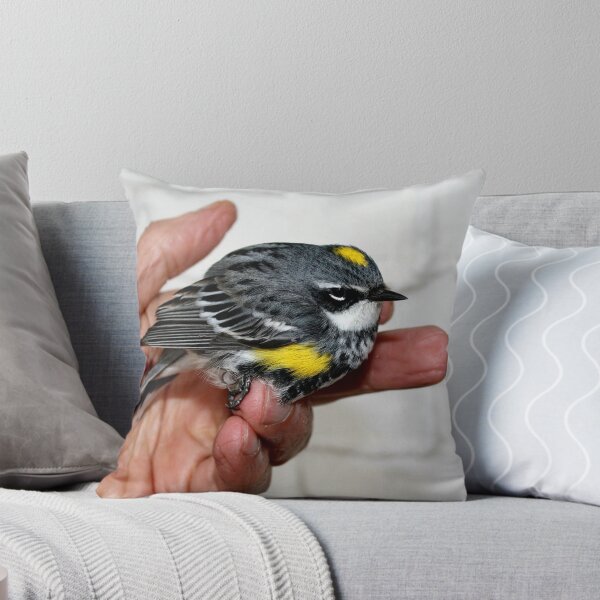 Aperçu de l'œuvre Yellow Rumped Warbler créée et vendue par Larry Trupp.