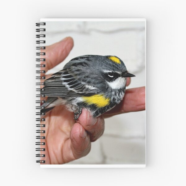 Item preview, Yellow Rumped Warbler designed and sold by Larry Trupp.