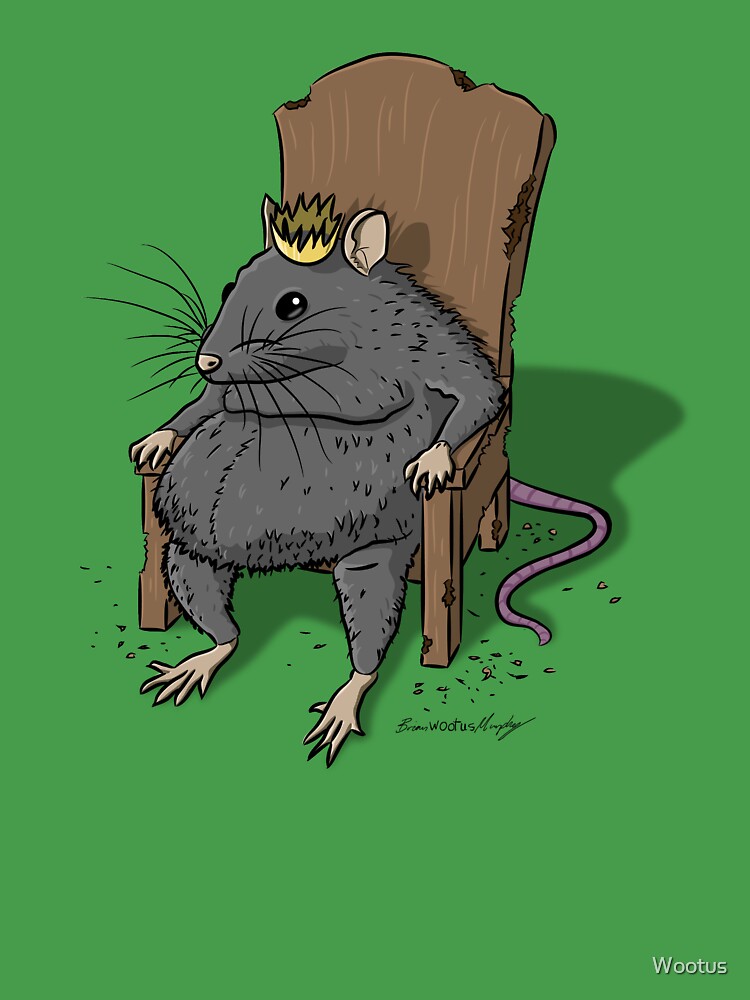 48 Cursed rats ideas  rats, cute rats, rat king