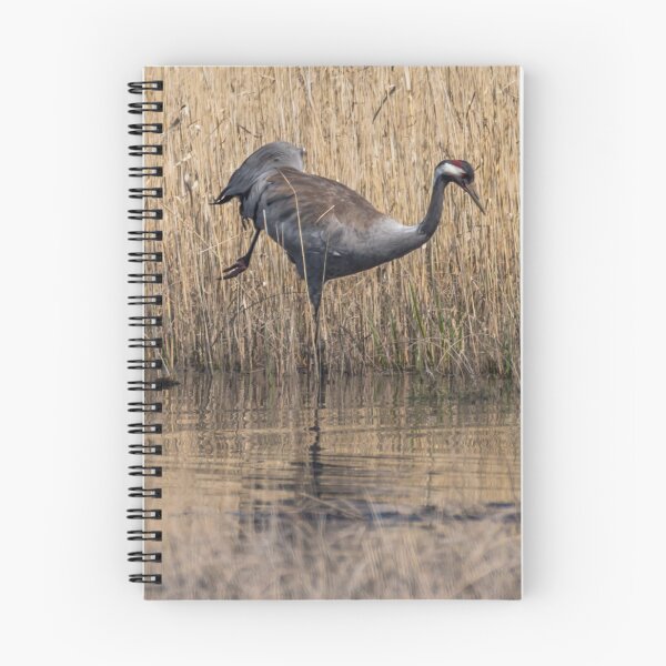 Item preview, Common Crane Dancing  designed and sold by Jon Shore.