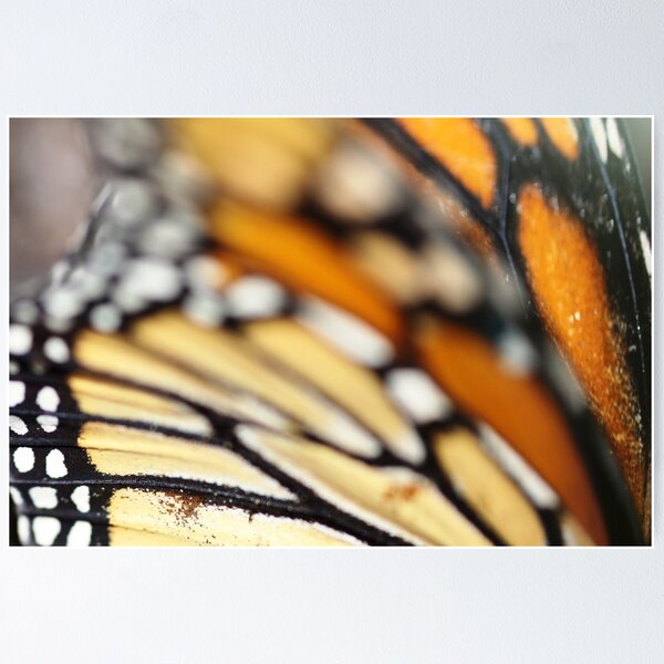 Item preview, Butterfly Wings designed and sold by NakedSunday.