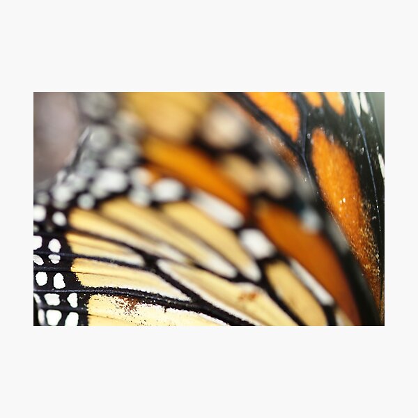 Item preview, Butterfly Wings designed and sold by NakedSunday.