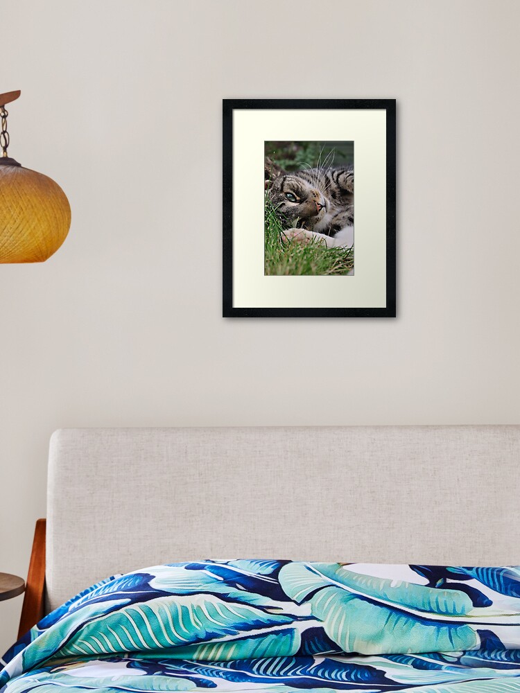 Thumbnail 1 of 7, Framed Art Print, Enjoying the Company designed and sold by Paul Eden.