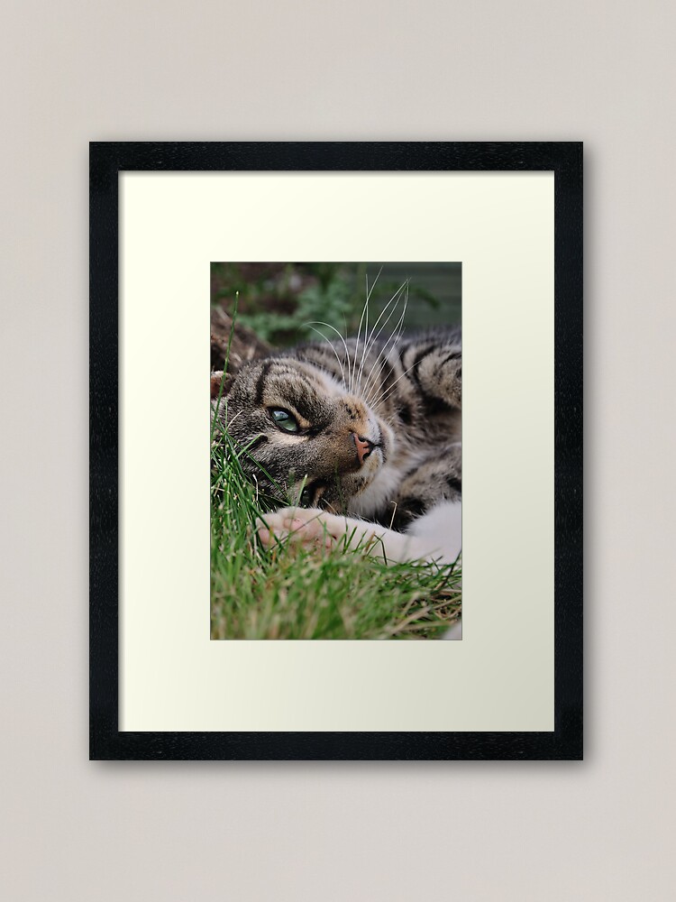 Thumbnail 2 of 7, Framed Art Print, Enjoying the Company designed and sold by Paul Eden.