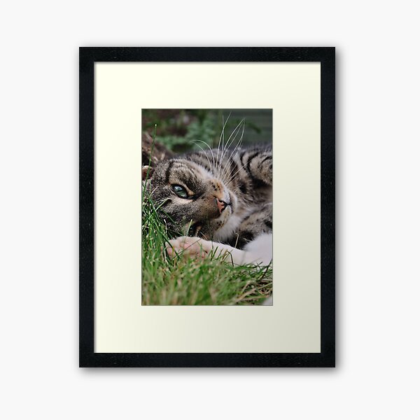 Framed Art Print