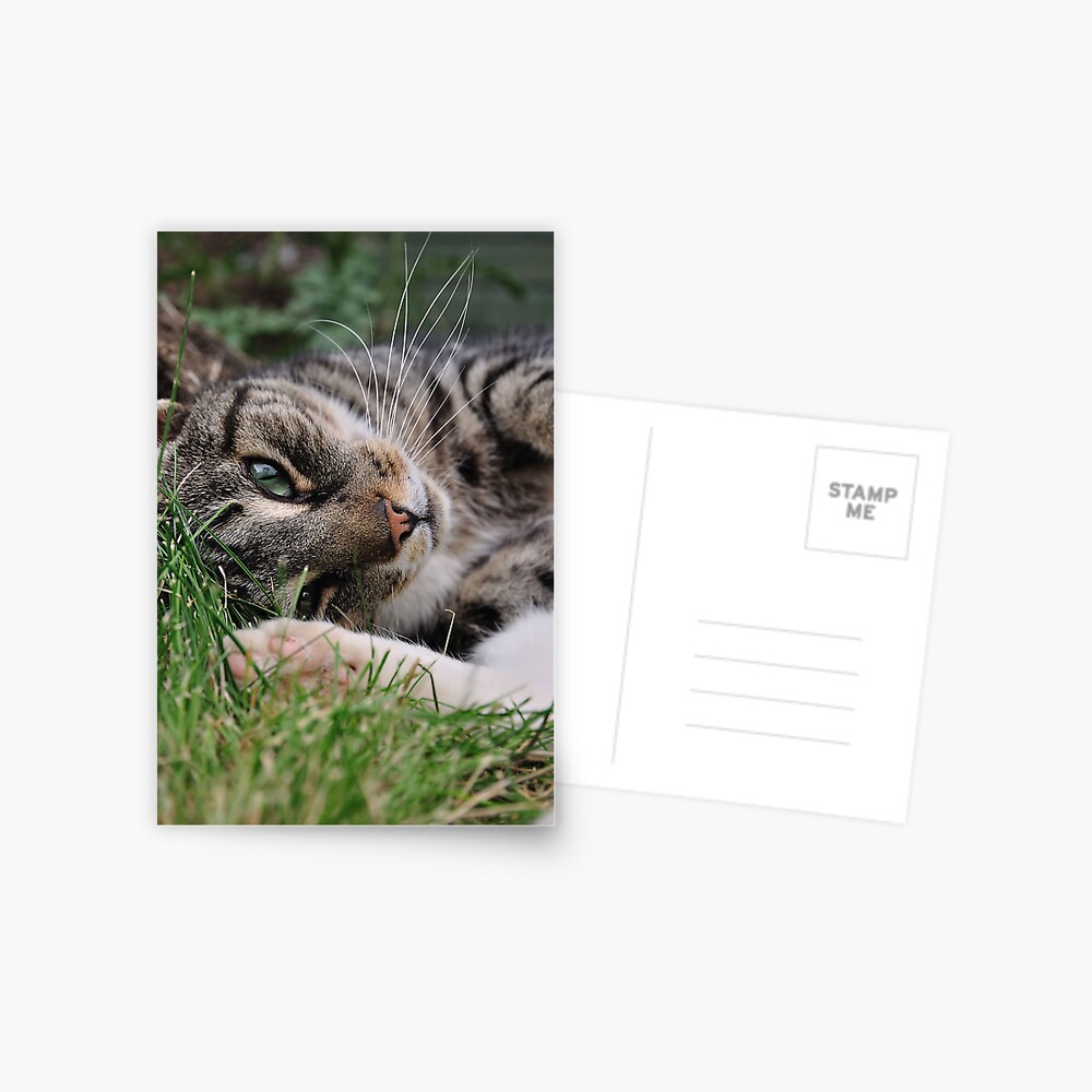 Item preview, Postcard designed and sold by pauleden.
