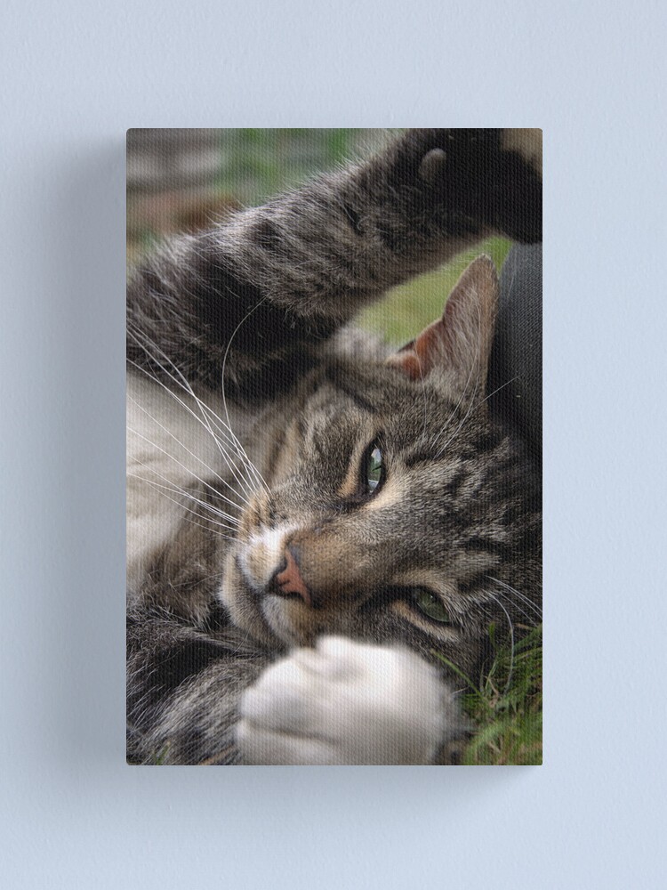 Alternate view of Playful Tiger Canvas Print