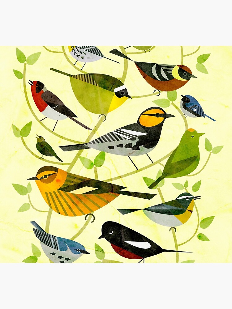 New World Warblers 2 by scottpartridge