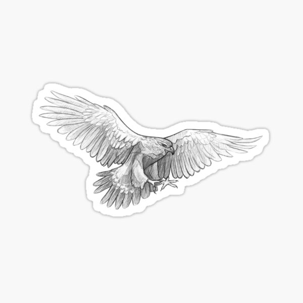 Golden Eagel - Art Illustration - Monochromatic Pencil Line Sketch - Drawing by MadliArt Sticker