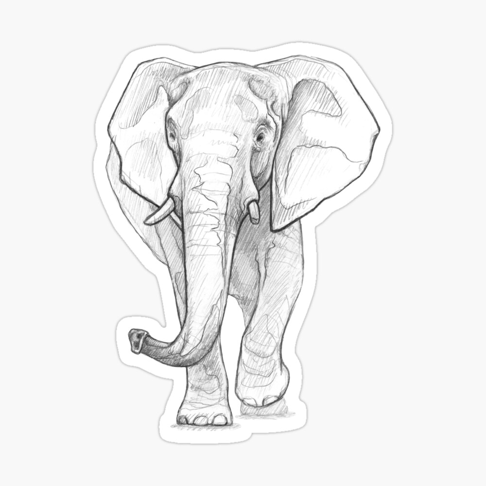 How to Draw A Cute Elephant || Easy Elephant Drawing || YZArts - YouTube