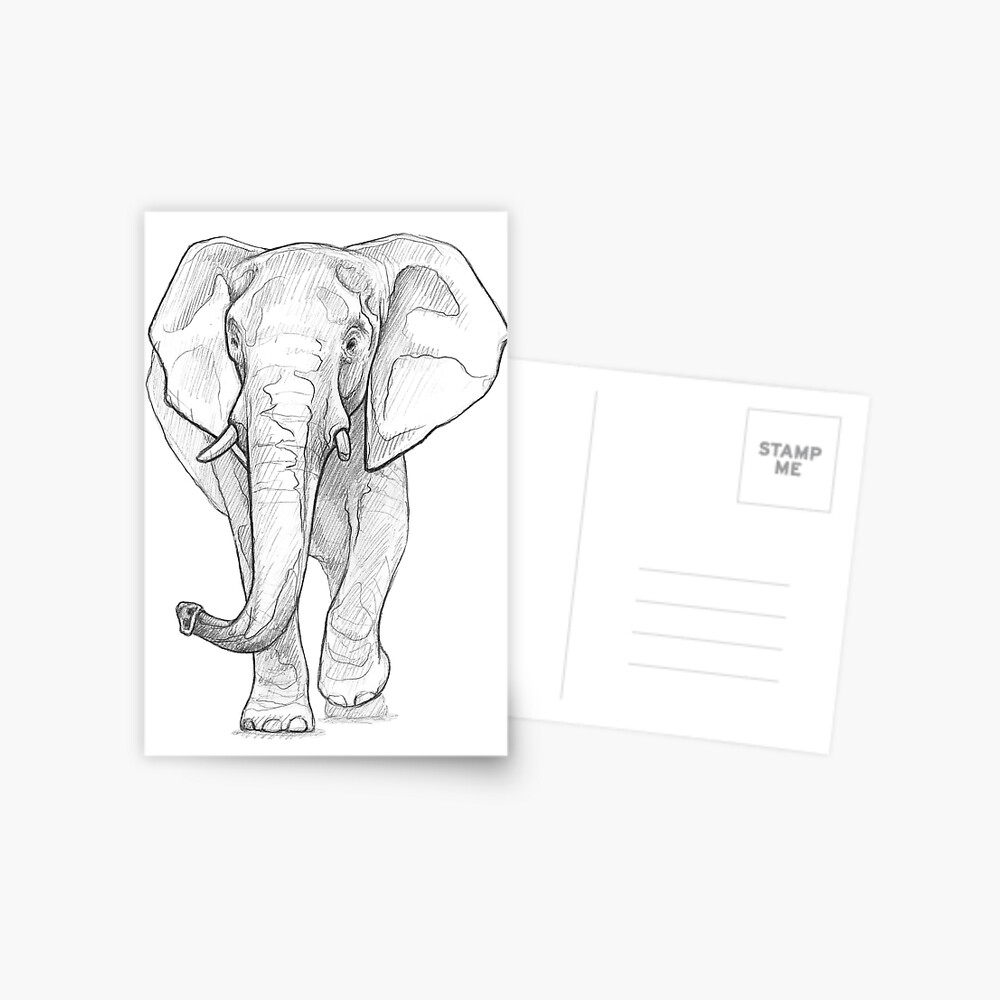 AKR Art - How to draw elephant easy step by step… easy... | Facebook
