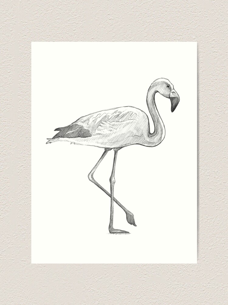 Flamingo Sketch Embroidery Design – Oh My Crafty Supplies Inc.