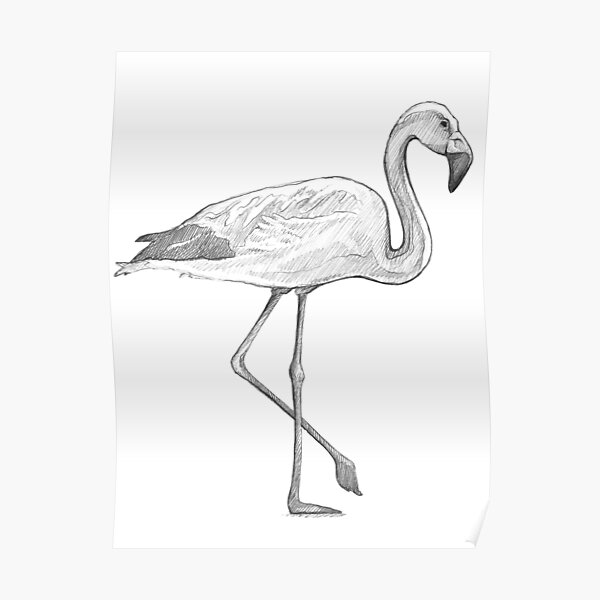 How to draw a flamingo easy step Tutorial