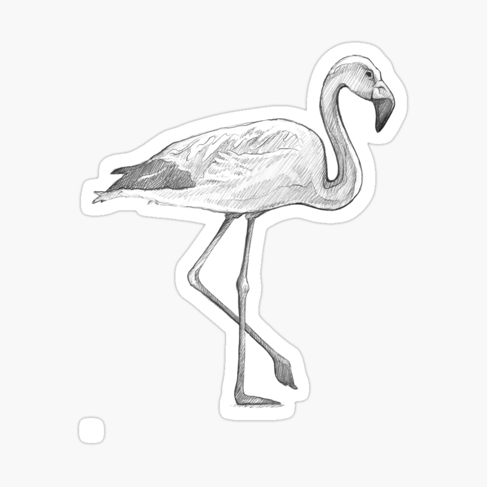 Standing flamingo ink sketch hand drawn Royalty Free Vector