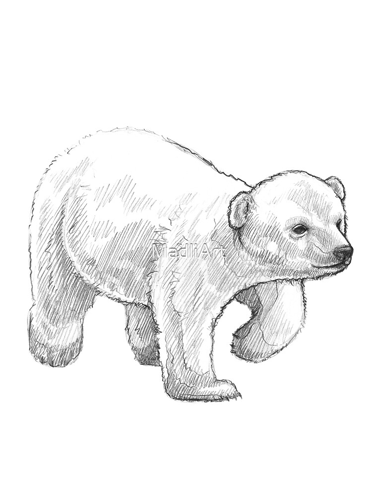 30 idées de Ourson  ourson, dessin ours, coloriage ourson