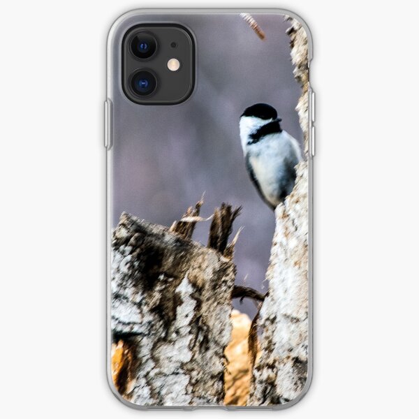Chickadee posing. iPhone Soft Case