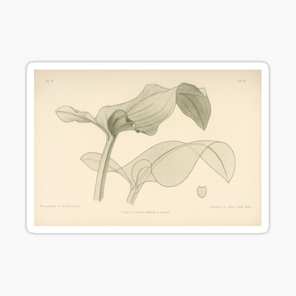 Item preview, Leaf Design designed and sold by BlueSpecsStudio.