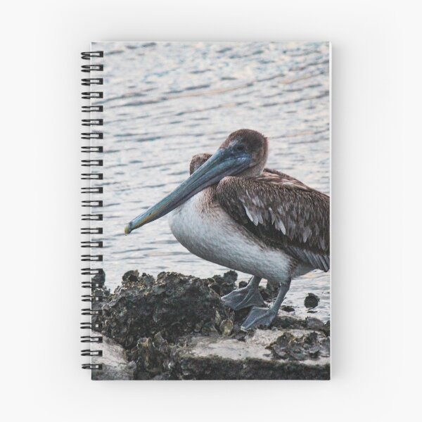 Item preview, Fernandina Pelican designed and sold by Bob Hardy.