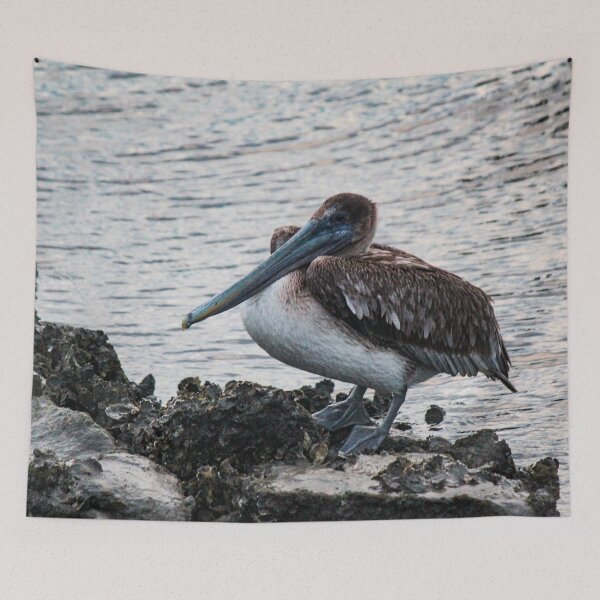 Item preview, Fernandina Pelican designed and sold by Bob Hardy.