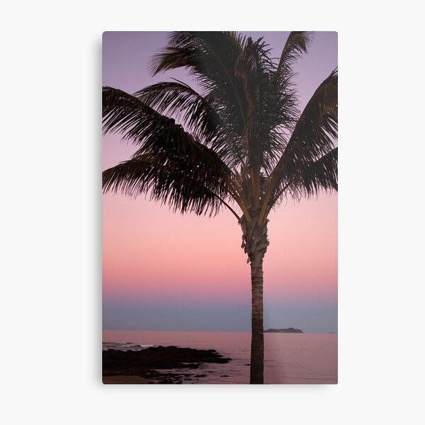 Dusk Metal Print