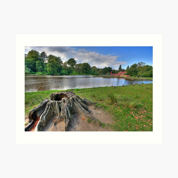 LYME PARK Art Print