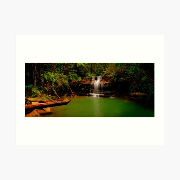 Blue Mountains, New South Wales. Art Print
